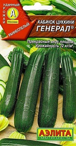 Кабачок Генерал цуккини 1г ц/п (Аэлита) т/зеленые