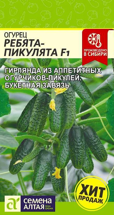 картинка Огурец Ребята-Пикулята 5шт ц/п (СемАлт) магазин Одежда+ являющийся официальным дистрибьютором в России 