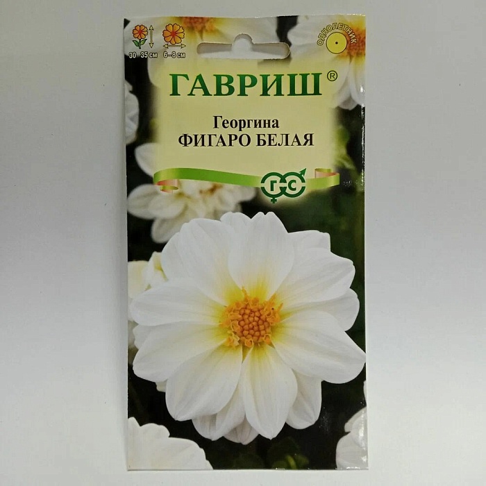 картинка Георгина Фигаро белая 7шт ц/п (Гавриш) магазин Одежда+ являющийся официальным дистрибьютором в России 
