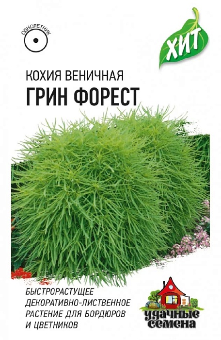 картинка Кохия Грин Форест (веничная) 0,2г лид/п (Гавриш) ХИТх3  магазин Одежда+ являющийся официальным дистрибьютором в России 