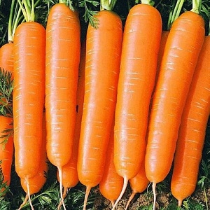 Морковь Нантская 4 1кг (ПрСидс)
