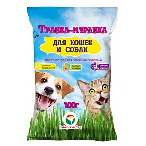 Трава для кошек Травка-муравка 100г (СибСад)