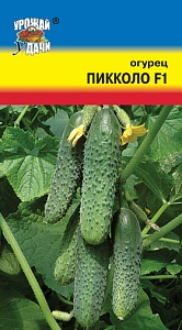 Огурец Пикколо F1 0,25г ц/п (УУ)