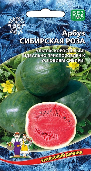 картинка Арбуз Сибирская роза 10шт ц/п (УД) у/скороспелый, до 5кг магазин Одежда+ являющийся официальным дистрибьютором в России 